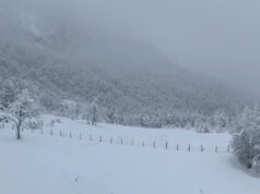 “Dita më e ftohtë e janarit”