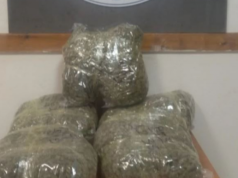 Kapen 110 kg marijuanë në Igumenicë, arrestohen dy persona në Athinë. Hetime edhe nga policia e Sarandës