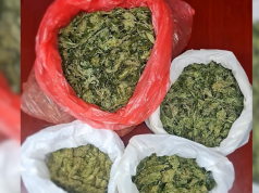 Shiste kokainë dhe kanabis në emër të mafias shqiptare, dënohet 35-vjeçari në Angli