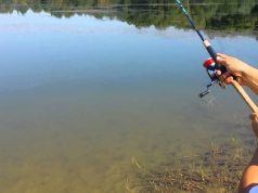 Peshkimi drejt falimentit, nga gjuetia e paligjshme te mungesa e financimit nga shteti