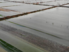 “Hera e tretë që shtëpia mbulohet nga uji”/ Shkarkimet nga HEC-i dhe reshjet përmbytin fshatrat e Fierit, dëme të mëdha në bujqësi