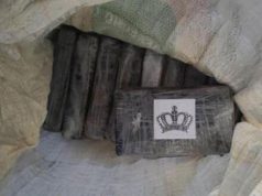 Shpërndante kokainë dhe Kanabis në qytetin e Lushnjës, pranga 36-vjeçarit