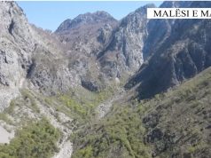 Aksion i madh në veri në vendit! Sekuestrohen mijëra rrënjë kanabis në Malësi të Madhe, arrestohen 14 persona dhe 10 të tjerë shpallen në kërkim(EMRAT)