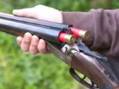 U kap duke gjuajtur shpendë në kundërshtim me moratoriumin e gjuetisë/ Pranga 35-vjeçarit në Tiranë