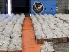 Gjashtë kilogramë kokainë dhe mbi 18 mijë euro të fshehura nën sedilje, si tentoi t’i shpëtonte karabinierëve 21-vjeçari shqiptar