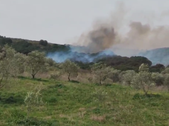 Zjarr në kodrat e fshatit Sherisht të Vlorës, era e fortë dhe terreni vështirëson situatën