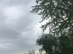 Parashikimi i motit për sot, 19 shkurt 2026