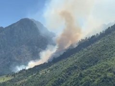 Ndezën zjarr në një sipërfaqe toke dhe dogjën 7 dynym bimësi, procedohen dy persona në Bulqizë