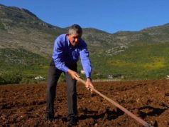 Rimbursimi i TVSH-së për fermerët, qeveria rikthen skemën e vjetër, ekspertët: Kompesimi me 10%, efekt pozitiv