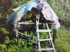 Peqin/Finalizohet operacioni policor i koduar “Syri i natës”, goditen veprimtaritë kriminale të kultivimit të bimëve narkotike dhe të armëmbajtjes pa leje.