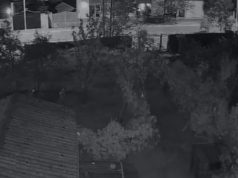 Shpërthim me eksploziv pranë banesës së deputetit të PD-së, Xhelal Mziu