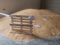 Elbasan/ Bllokohet misri serb. Rreth 25 ton do të asgjesohet