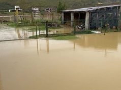 Moti i keq në vend/ Familja me pesë anëtarë në rrezik, banesa rrethohet nga uji në Thumanë