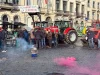 Brukseli në “flakë”, mijëra fermerë në protestë, përplasje me policinë, përdoret edhe gaz lotsjellës