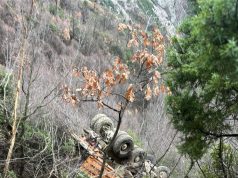 Gramsh/ Arrestojet shoferi qe drejtonte kamionin që ra në humnerë