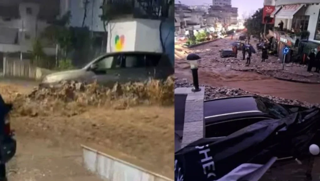 gjjjjjjjjjjjjjjjjjjj_sd