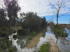 Dalja e lumit Seman nga shtrati, fshati Hasturkas nën ujë, 20 familje evakuohen dhe kërkojnë ndihmë urgjente