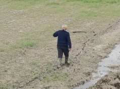 Blegtorët e Dimalit në krizë, përmbytjet u dëmtuan ushqimin e kafshëve: Nuk morëm asnjë ndihmë