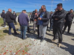 Fermerët në protestë, përgjysmohet çmimi i lulështrydhes nga pikat e grumbullimit