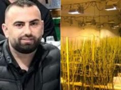 4000 rrënjë kanabis në magazinë, lirohet drejtori i burgut Rrogozhinës, Bilal Hasa.