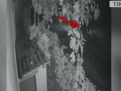 Lëvizte me eksploziv dhe armë, kapet në Paskuqan 37-vjeçari me maskë silikoni