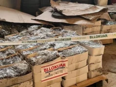 Babë e bir kanosën dy persona, policia i zbuloi biznesin me mbi 110 ton fruta-perime në Shkodër, sekuestrohen nga AKU: Nuk plotësonin kushtet higjeno-sanitare