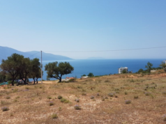 Abuzimet me pronat në Orikum, Radhimë dhe Dukat, Prokuroria e Vlorës shpall moskompetencë, dosja i kalon SPAK-ut