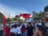 Shqipëria në protestën e 11.