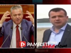 Në opozitë patriotë, në pushtet grabitqarë të Shqipërisë