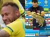 Eliminimi i Brazilit nga Botërori, fansat sjellin edhe njëherë në vëmendje teorinë e mallkimit të… maces