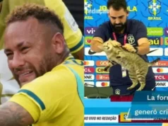 Eliminimi i Brazilit nga Botërori, fansat sjellin edhe njëherë në vëmendje teorinë e mallkimit të… maces